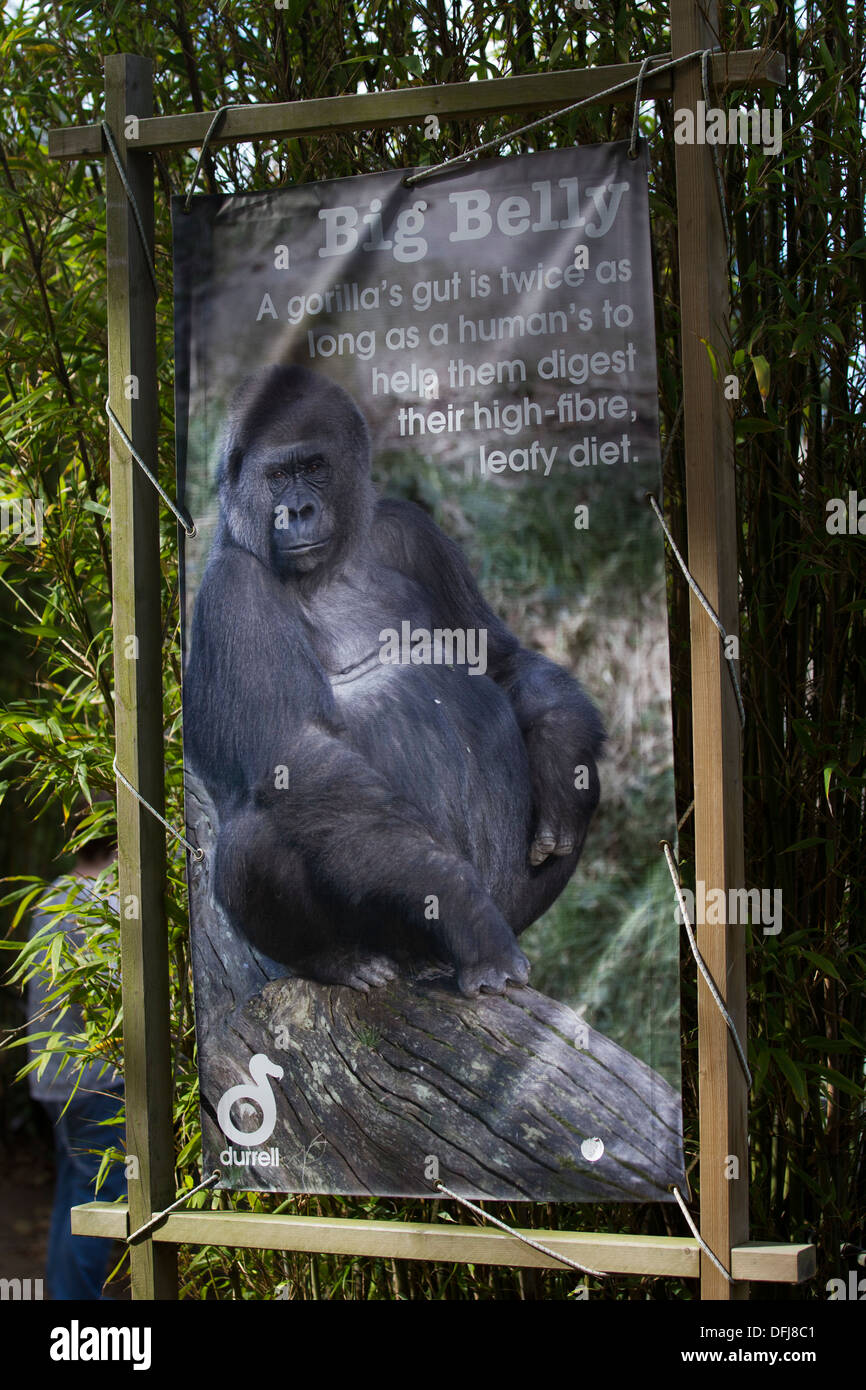 Durrell Wildlife Conservation Trust Stockfoto