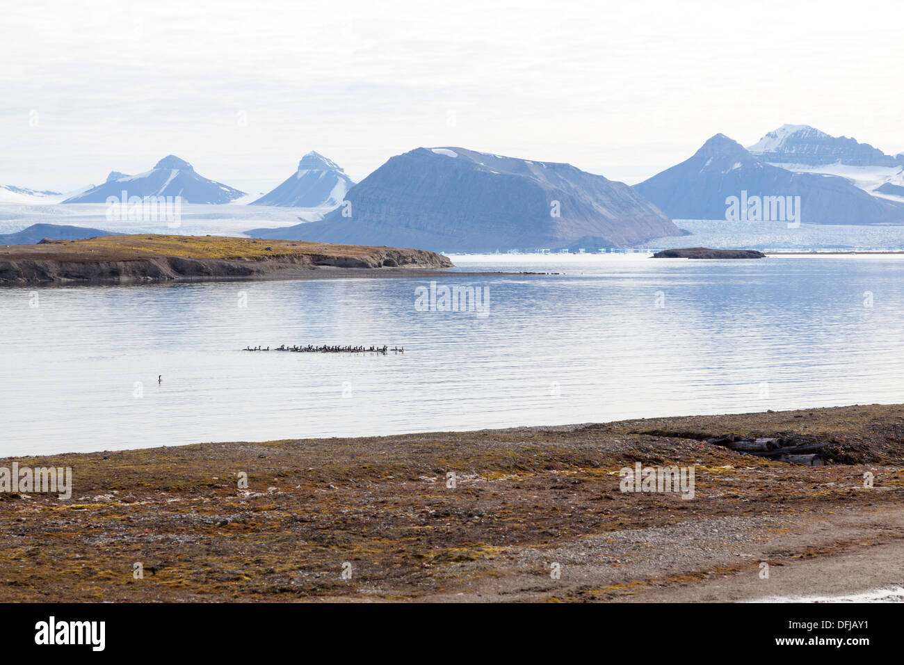 Blick über den Fjord in Ny-Ålesund, Spitzbergen, Svalbard-Archipel, norwegischen Arktis Stockfoto