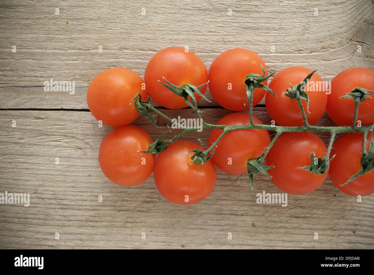 Cherry-Tomaten am Rebstock Stockfoto