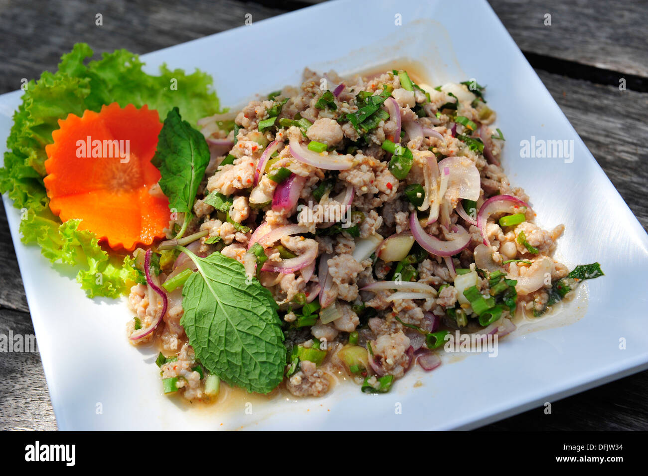 Taste of Thailand - Thai Larb Moo (gehacktes Schweinefleisch-Salat) Stockfoto