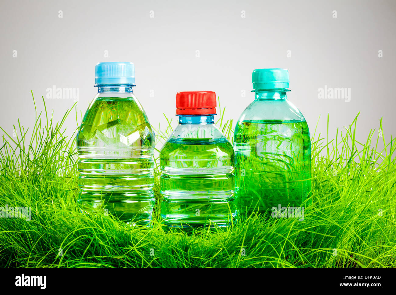 Flasche Wasser auf dem grünen Rasen Stockfoto