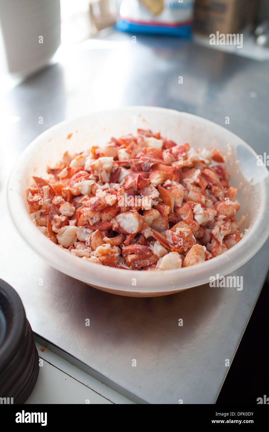 Hummerfleisch, Hummer zu machen bereit Rollen Stockfoto