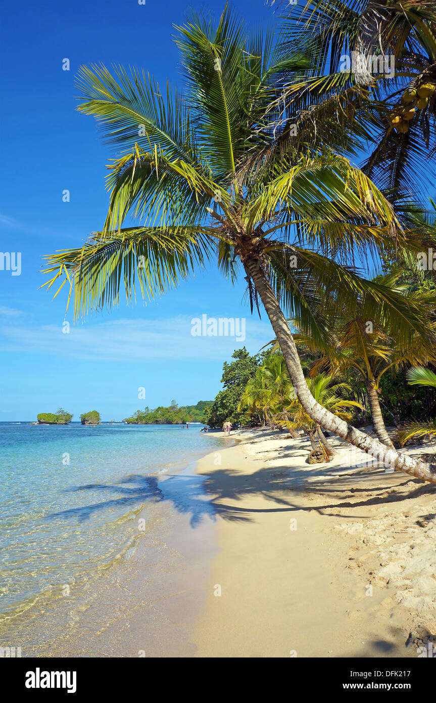 Tropischer Strand mit Palme, beugte sich über das Meer, Karibik Stockfoto