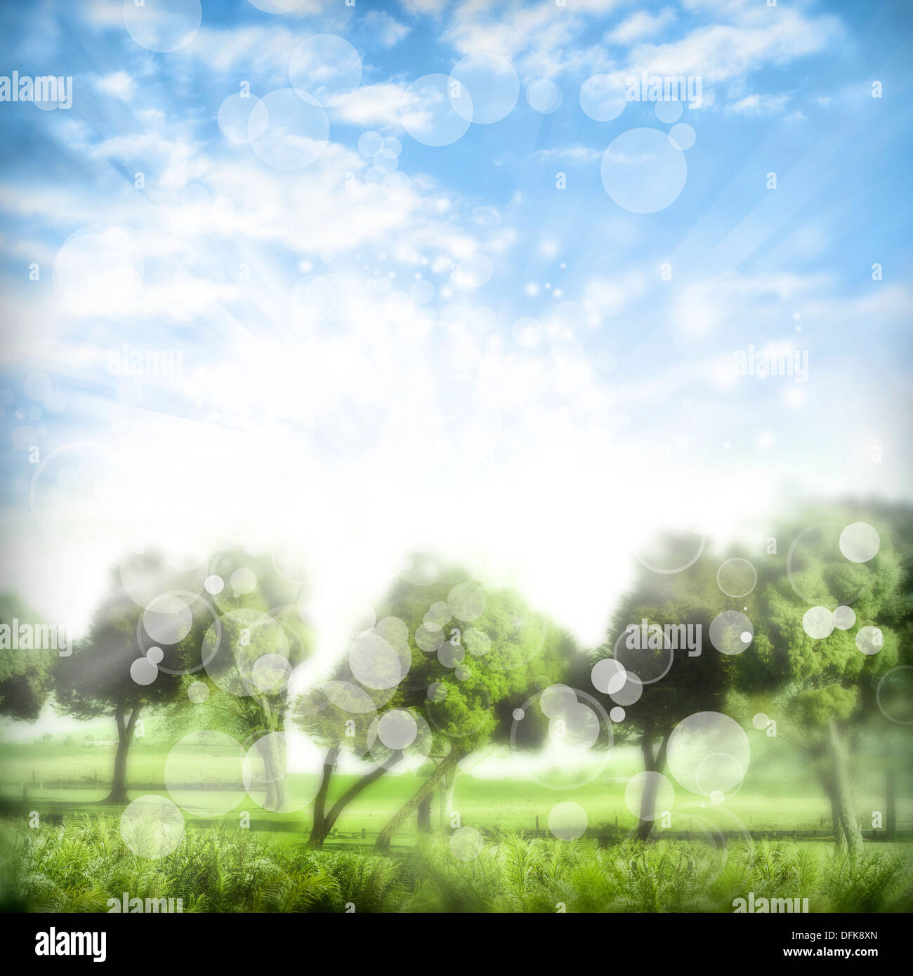 Bäume und Himmel abstrakten Hintergrund Stockfoto