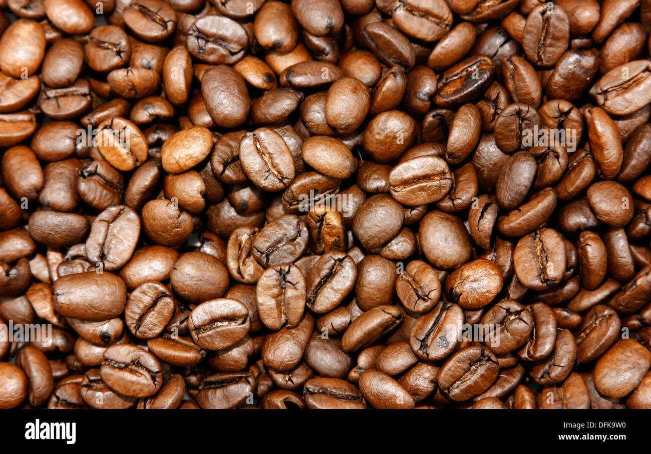 Nahaufnahme von gerösteten Kaffeebohnen Stockfoto