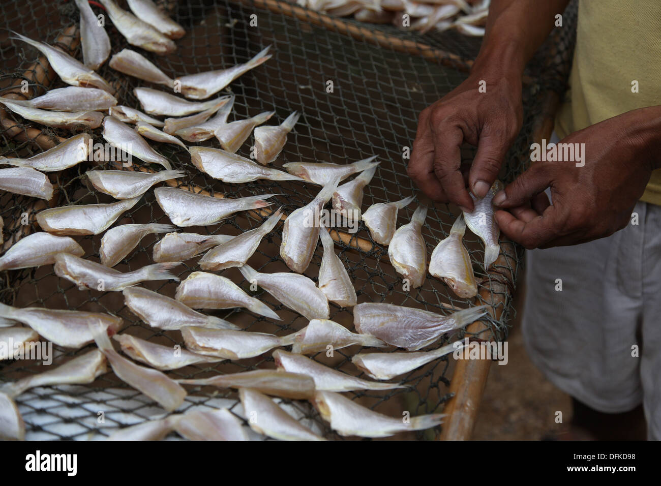 Fischmarkt, Koh Samui, Thailand Stockfoto