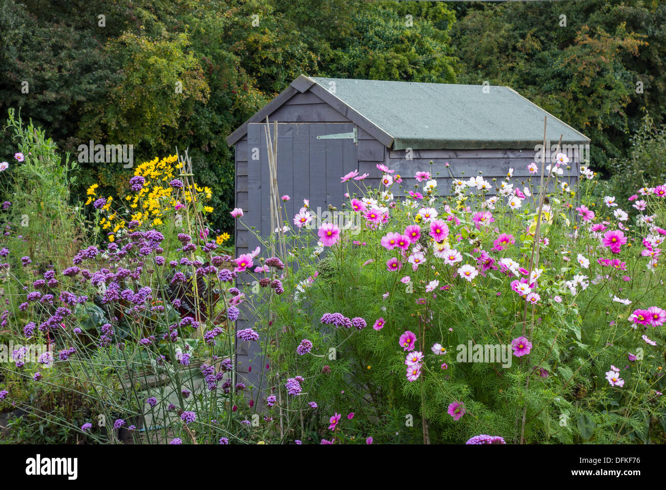 Garten Allotment Shed Cottage Pflanzen Stockfoto