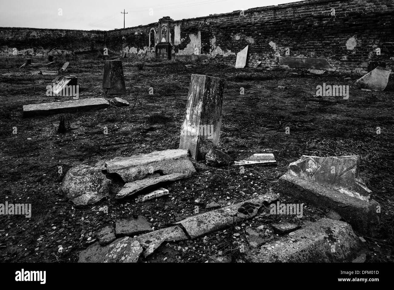 Italien. verlassenen Friedhof Stockfoto