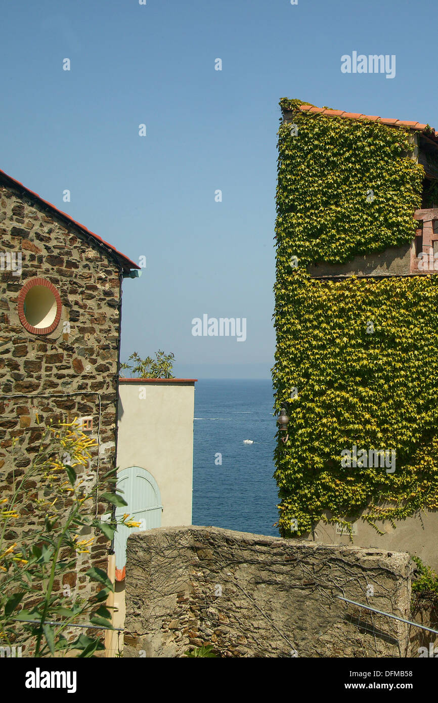 Kuestenimmobilien mit super Blick aufs Meer in der Stadt Collioure, Languedoc-Roussillon, Südfrankreich Stockfoto