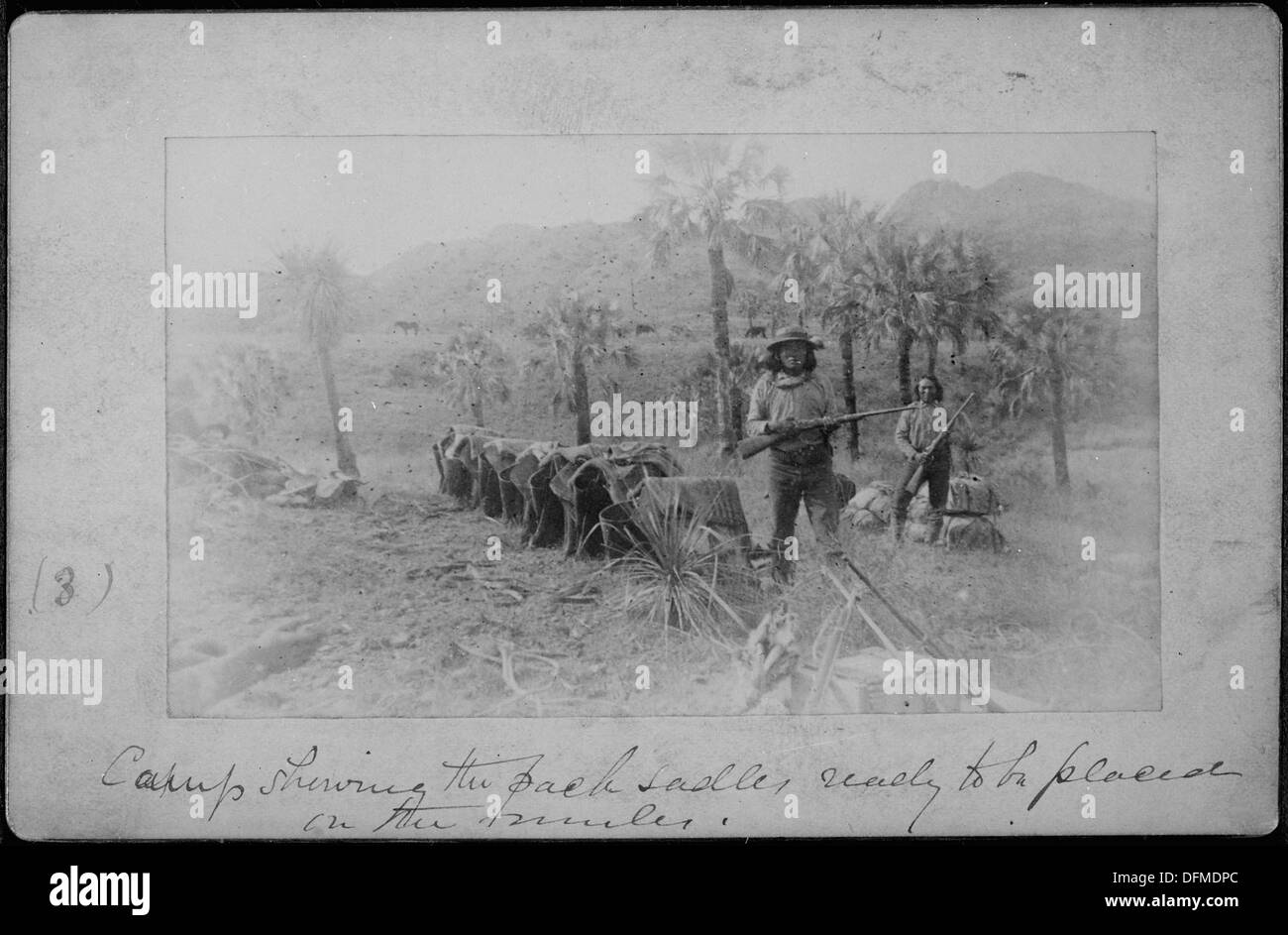 Pack-Sättel auf die Maultiere (von L. D. Greene Album) platziert werden. 533092 Stockfoto