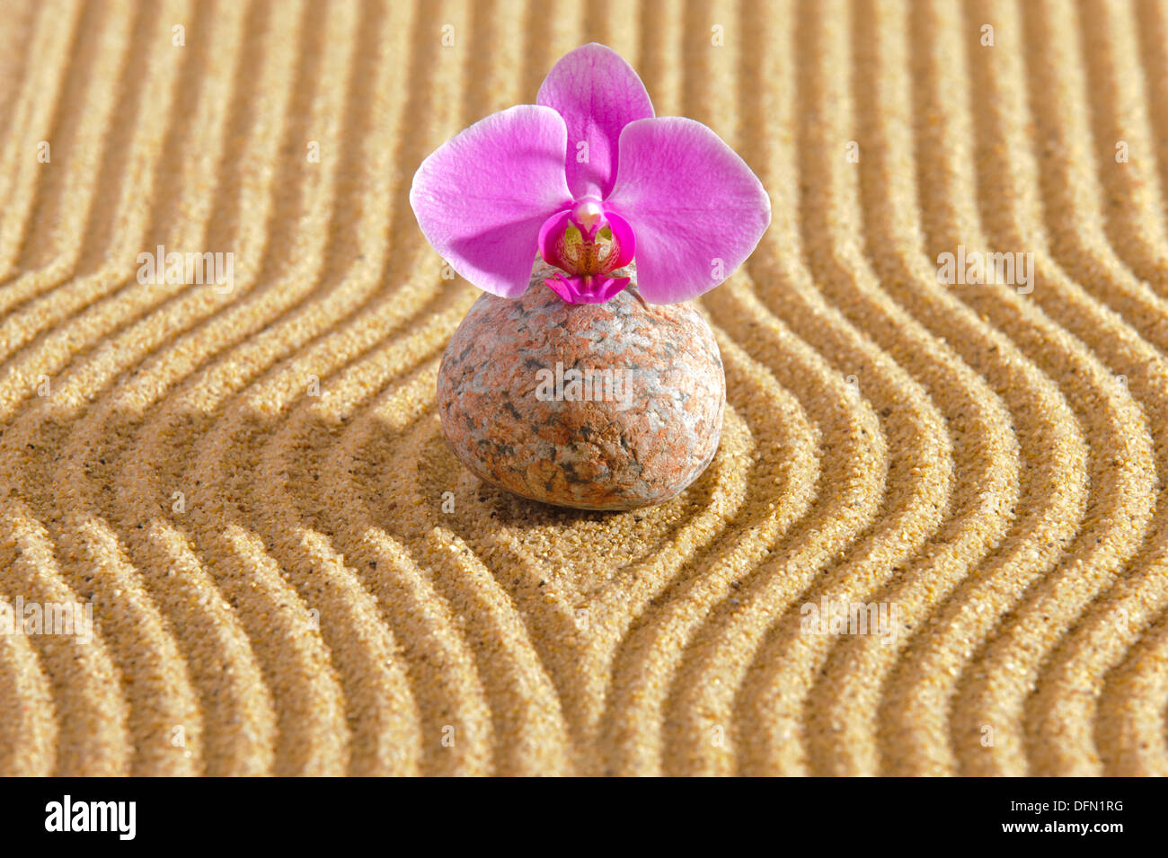 Japan-ZEN-Garten in Sand mit Stein Stockfoto