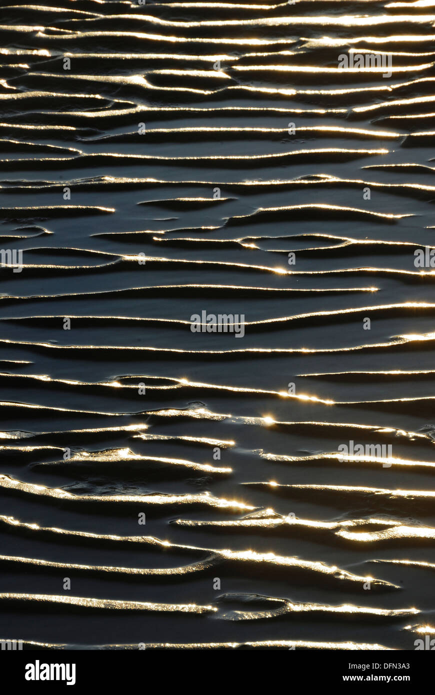 Sand kräuselt sich bei Ebbe fangen das Sonnenlicht UK Stockfoto