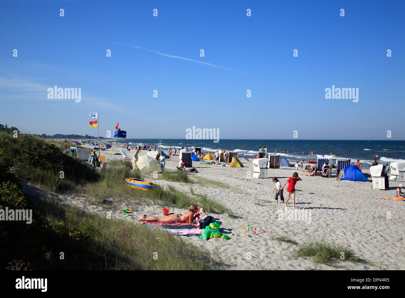 Strand in der Nähe von Maasholm, Schlei, Ostsee, Schleswig-Holstein, Deutschland Stockfoto