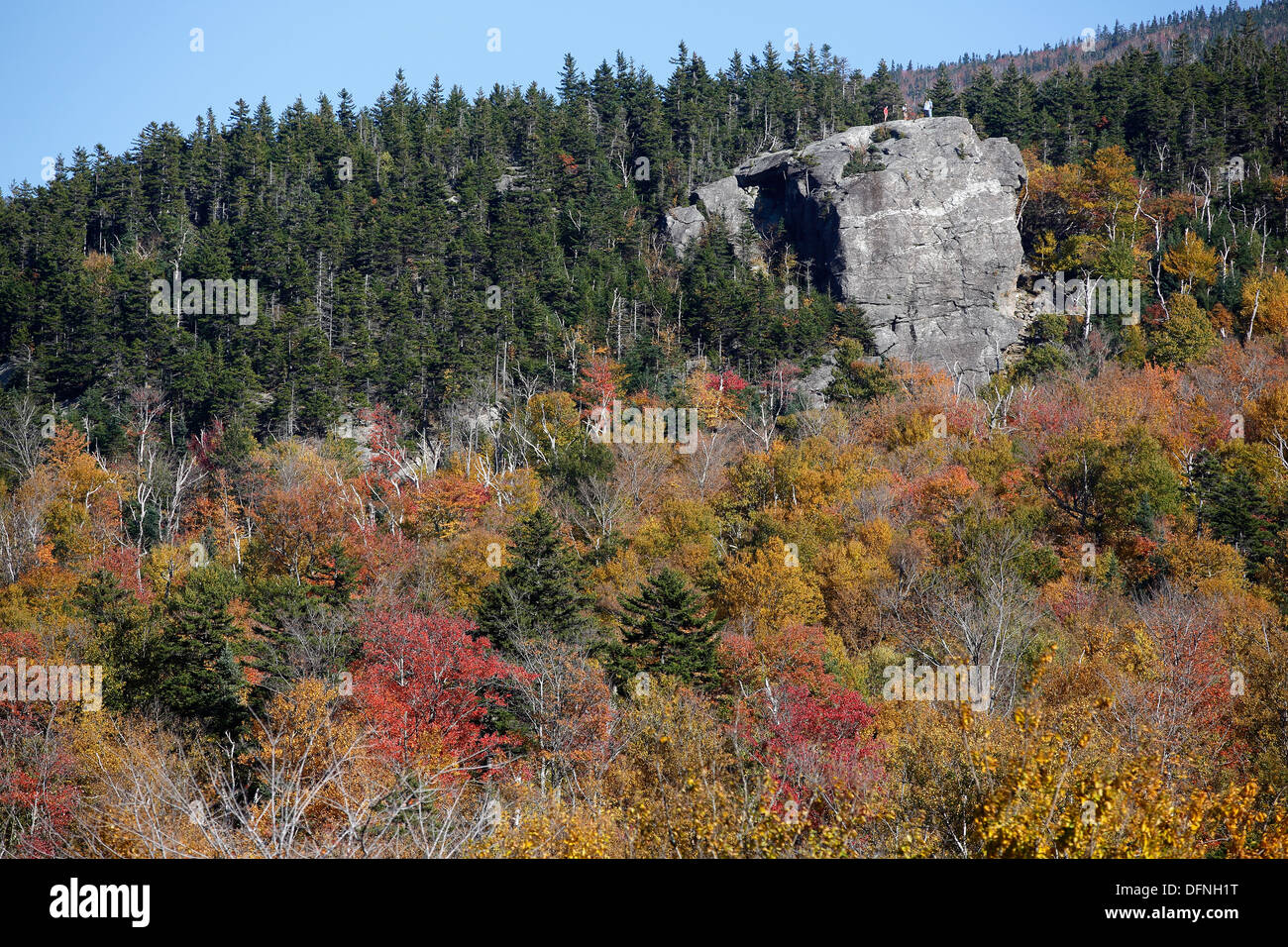 Quadratische Ledge, Pinkham Kerbe, White Mountain National Forest, New Hampshire, USA Stockfoto