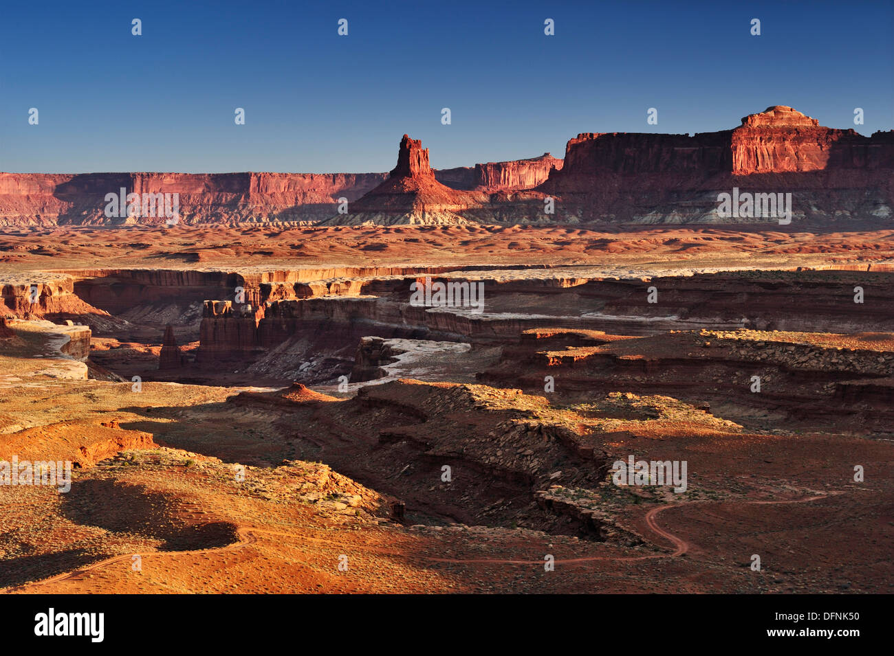 Ansicht der Schluchten des Green River, White Rim Drive White Rim Trail, Insel im Himmel, Canyonlands National Park, Moab, Utah, Sout Stockfoto