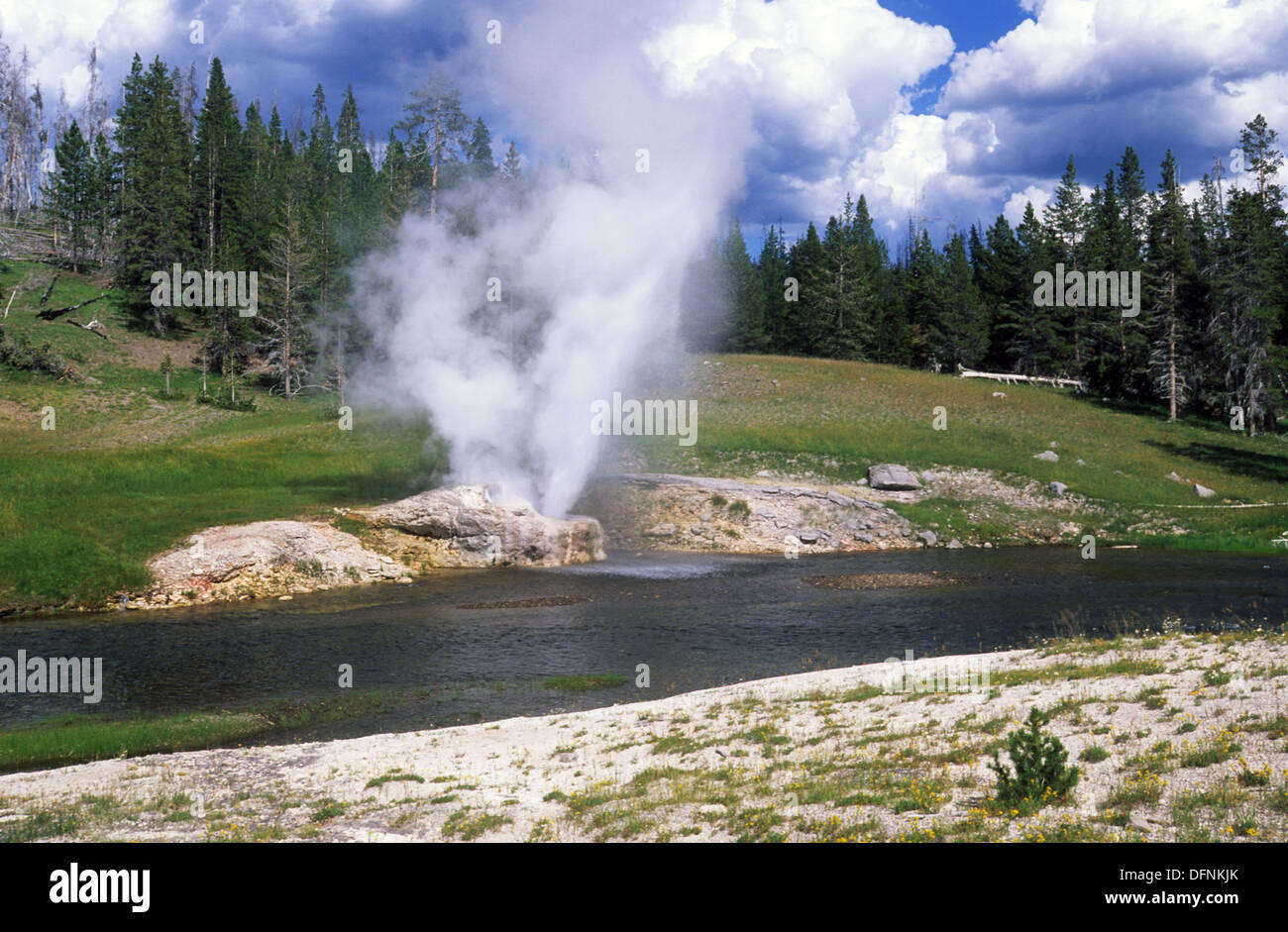 Elk265-1439 Wyoming, Yellowstone-Nationalpark, Upper Geyser Basin, Riverside-Geysir Stockfoto