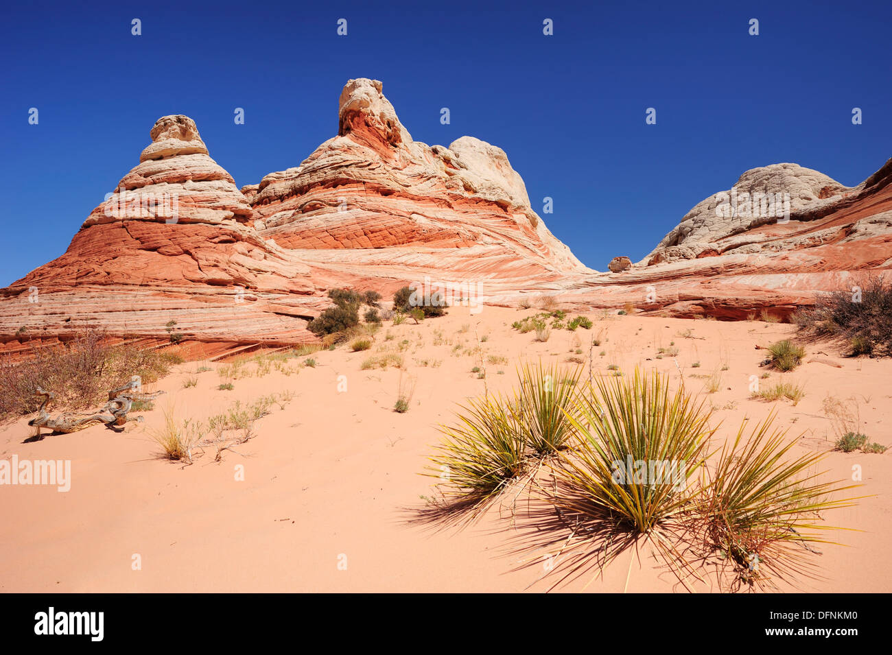 Bunten Sandstein Kegel, Paria Canyon, Vermilion Cliffs National Monument, Arizona, Südwesten, USA, Amerika Stockfoto