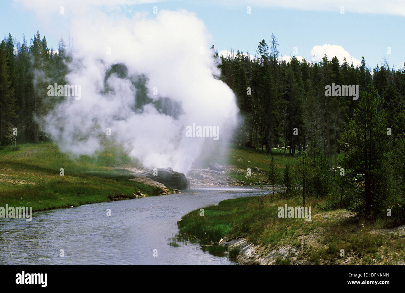 Elk265-1446 Wyoming, Yellowstone-Nationalpark, Upper Geyser Basin, Riverside-Geysir Stockfoto