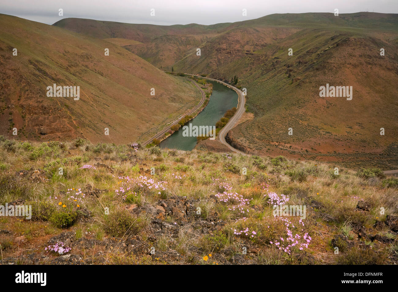 Übersehen Sie Washington - Aussicht Norden oben der Yakima River Canyon aus auf oben das Umtanum Creek Valley L.T. Murray Wildlife Recreation Area. Stockfoto