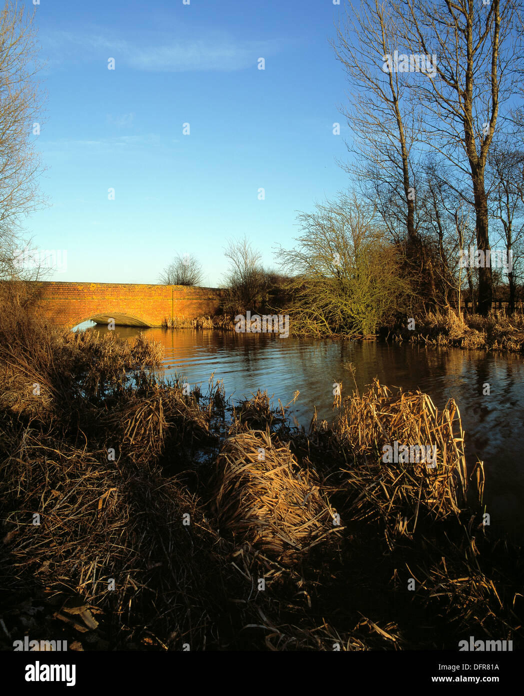 Brücke über den Fluss Avon, Stanford, Northamptonshire. Stockfoto