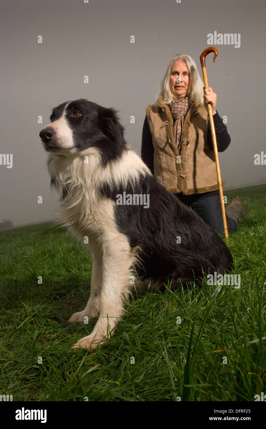 Caroline Woolley trainiert Schäferhunde Stockfoto