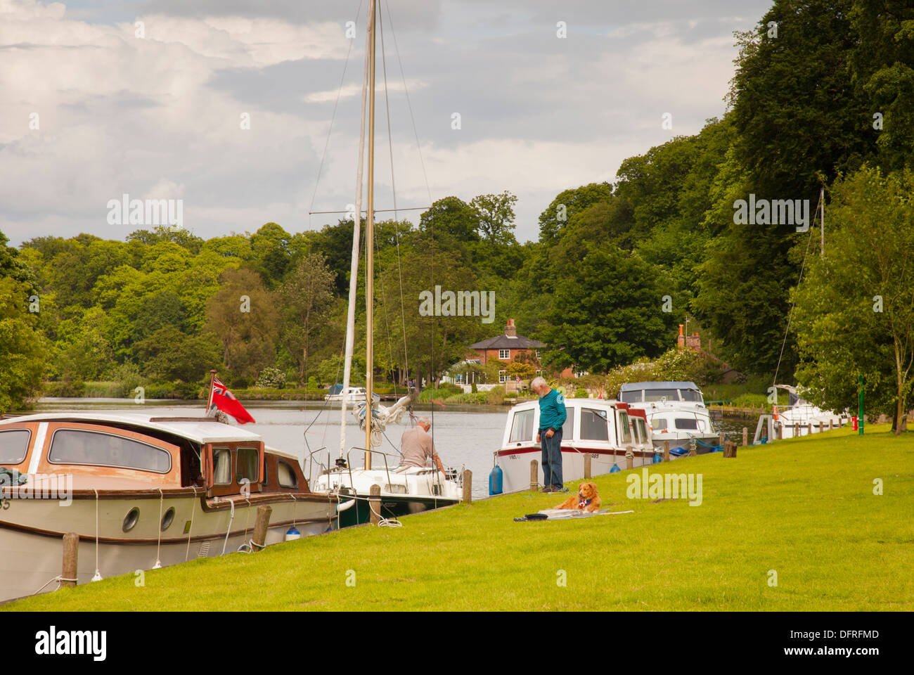 Sportboote vor Anker am Fluß Yare in der Nähe der Langstrecken-Wanderweg Wherryman Weg in Norfolk. Stockfoto