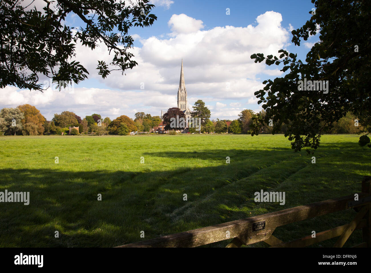 Blick auf die Kathedrale von Salisbury über Wiese Stockfoto