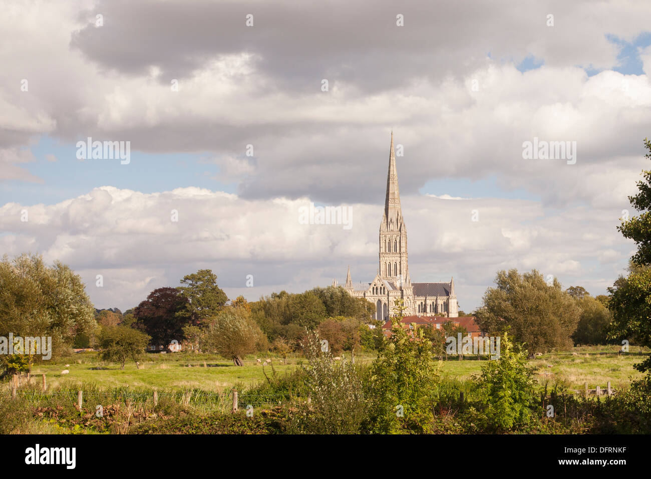 Kathedrale von Salisbury aus gesehen, über die Wiesen. Stockfoto