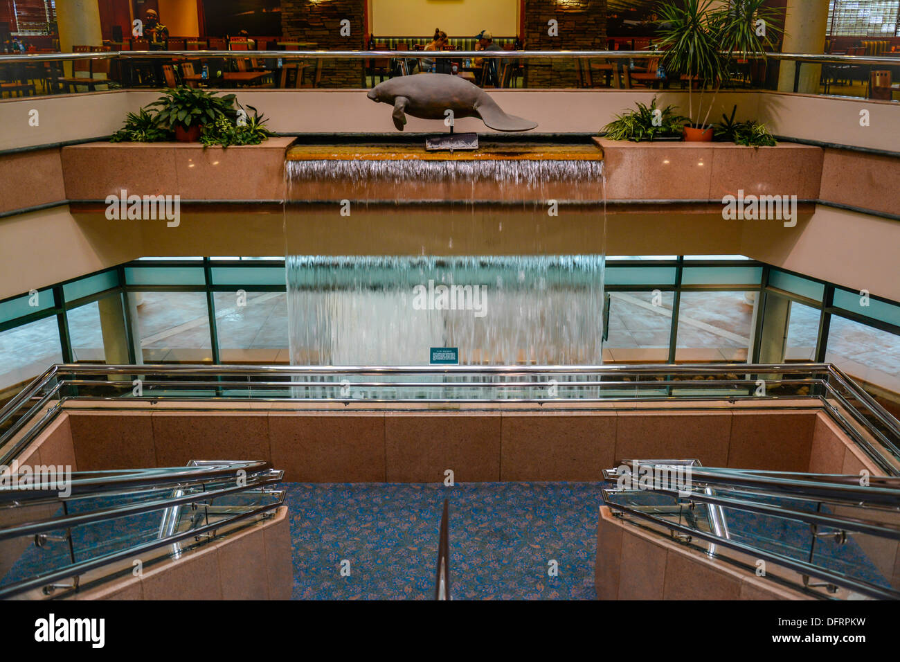 Ein Manatee Sculputure hoch oben auf einem Wasserfall unterstreicht das Terminal am Flughafen Sarasota Bradenton, FL Stockfoto Ein Manatee Sculputure hoch oben auf einem Wasserfall unterstreicht das Terminal am Flughafen Sarasota Bradenton, FL Stockfoto