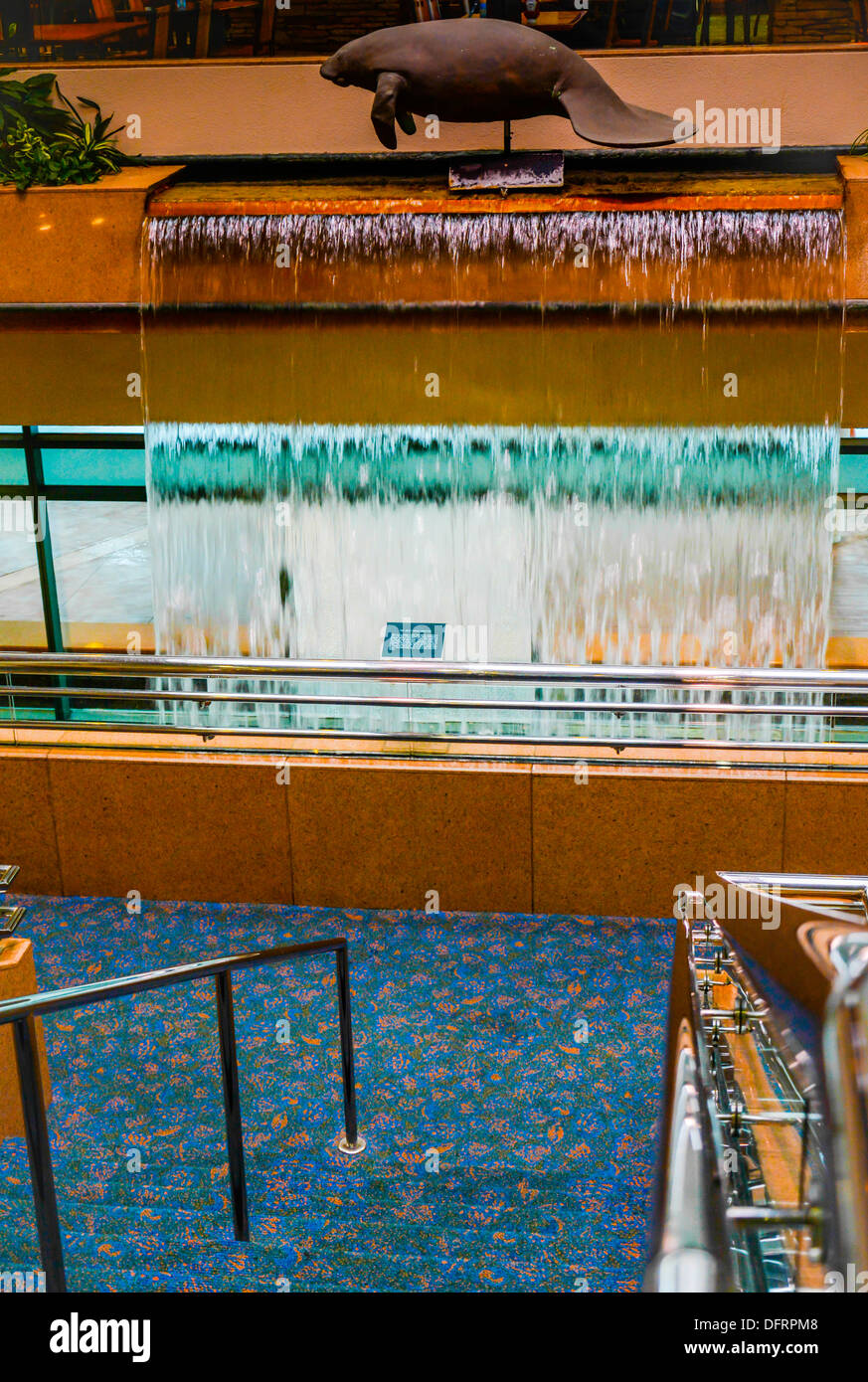 Ein Manatee Sculputure hoch oben auf einem Wasserfall unterstreicht das Terminal am Flughafen Sarasota Bradenton, FL Stockfoto Ein Manatee Sculputure hoch oben auf einem Wasserfall unterstreicht das Terminal am Flughafen Sarasota Bradenton, FL Stockfoto