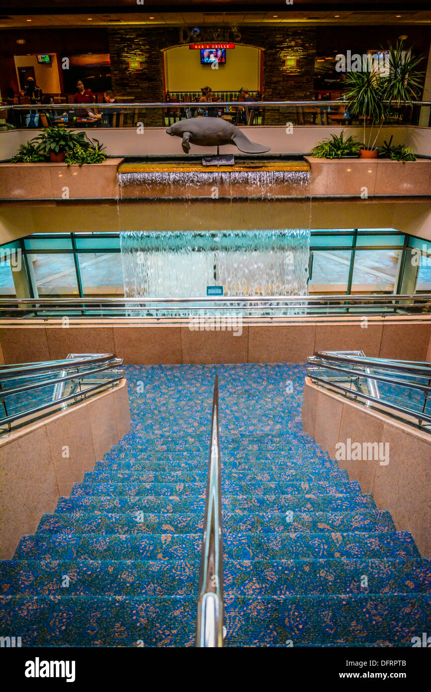 Ein Manatee Sculputure hoch oben auf einem Wasserfall unterstreicht das Terminal am Flughafen Sarasota Bradenton, FL Stockfoto Ein Manatee Sculputure hoch oben auf einem Wasserfall unterstreicht das Terminal am Flughafen Sarasota Bradenton, FL Stockfoto