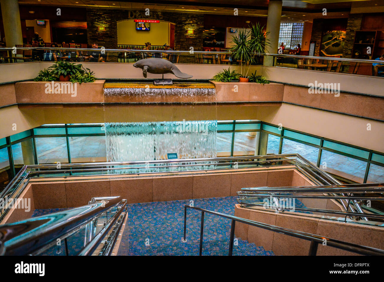 Ein Manatee Sculputure hoch oben auf einem Wasserfall unterstreicht das Terminal am Flughafen Sarasota Bradenton, FL Stockfoto Ein Manatee Sculputure hoch oben auf einem Wasserfall unterstreicht das Terminal am Flughafen Sarasota Bradenton, FL Stockfoto