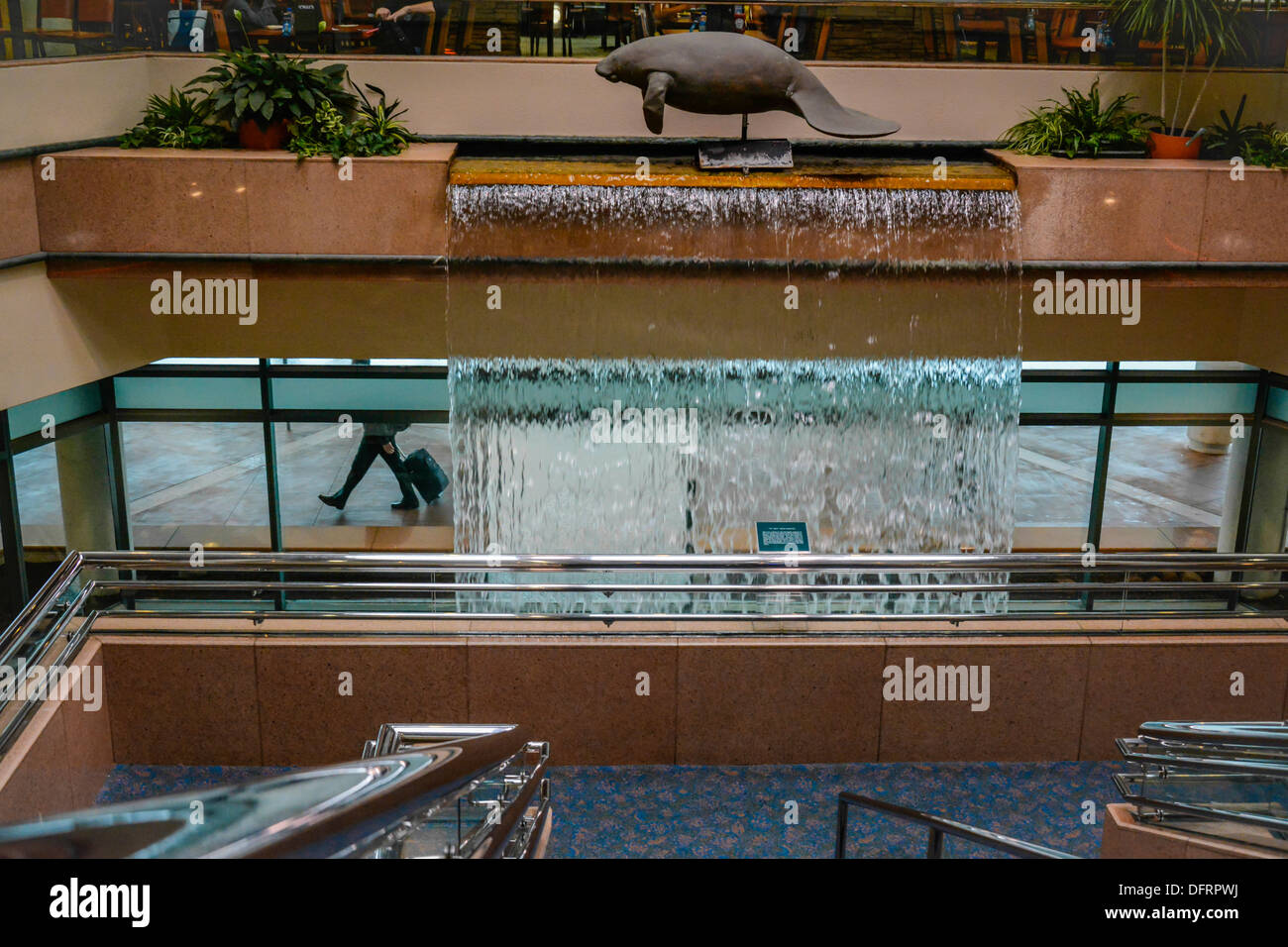 Ein Manatee Sculputure hoch oben auf einem Wasserfall unterstreicht das Terminal am Flughafen Sarasota Bradenton, FL Stockfoto Ein Manatee Sculputure hoch oben auf einem Wasserfall unterstreicht das Terminal am Flughafen Sarasota Bradenton, FL Stockfoto