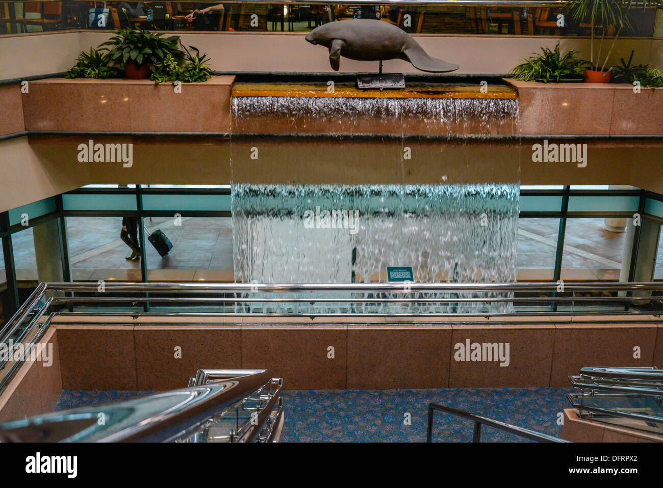 Ein Manatee Sculputure hoch oben auf einem Wasserfall unterstreicht das Terminal am Flughafen Sarasota Bradenton, FL Stockfoto Ein Manatee Sculputure hoch oben auf einem Wasserfall unterstreicht das Terminal am Flughafen Sarasota Bradenton, FL Stockfoto