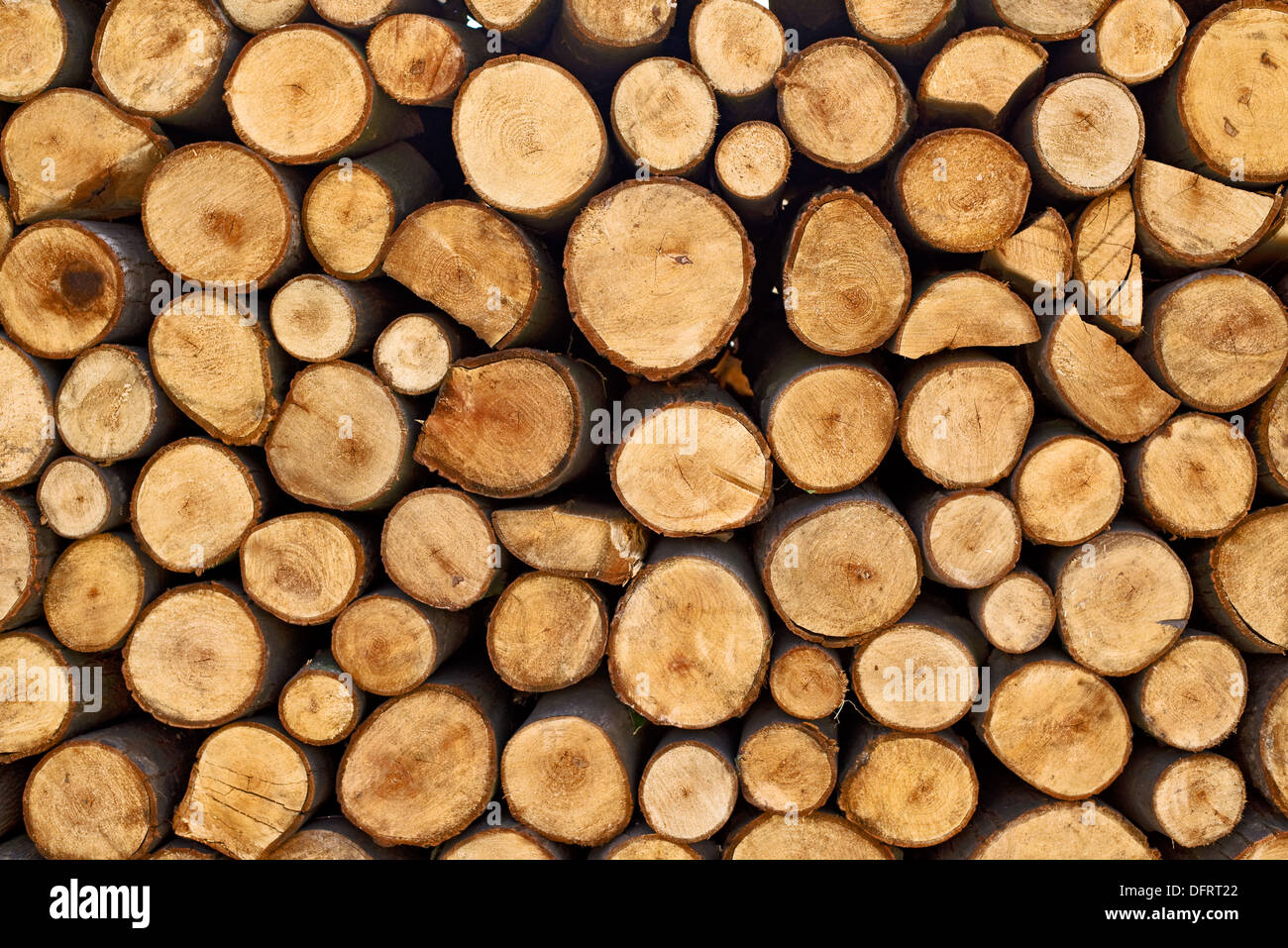 Brennholz-Stapel. Grundnahrungsmittel der Biomasse, arrangierte Brennholz. Stockfoto