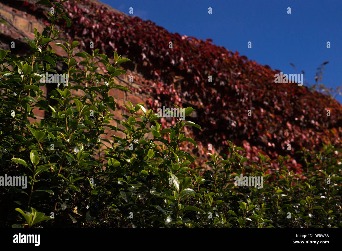 rote Farbe Farbe verblasst Ziegel Wände blauen Herbsthimmel Stockfoto