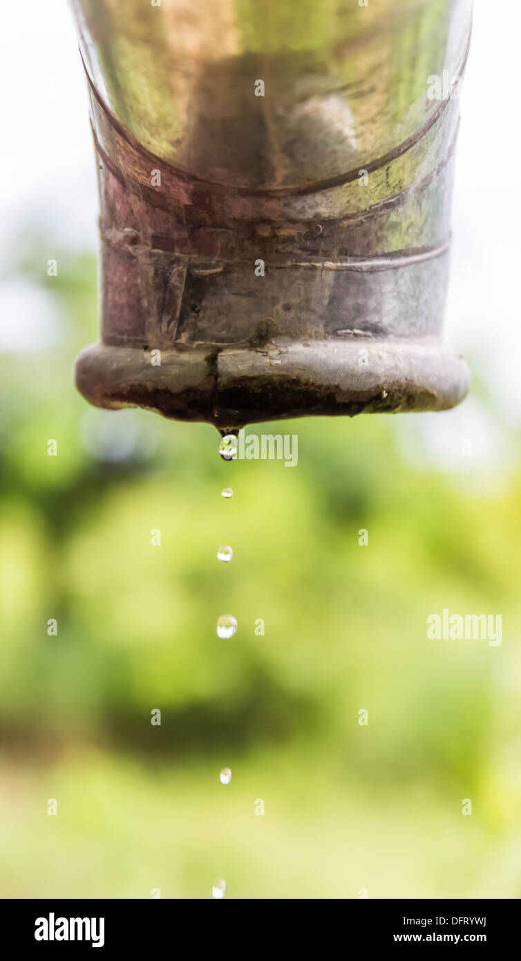 Wasser tropft aus einem Rohr. Stockfoto