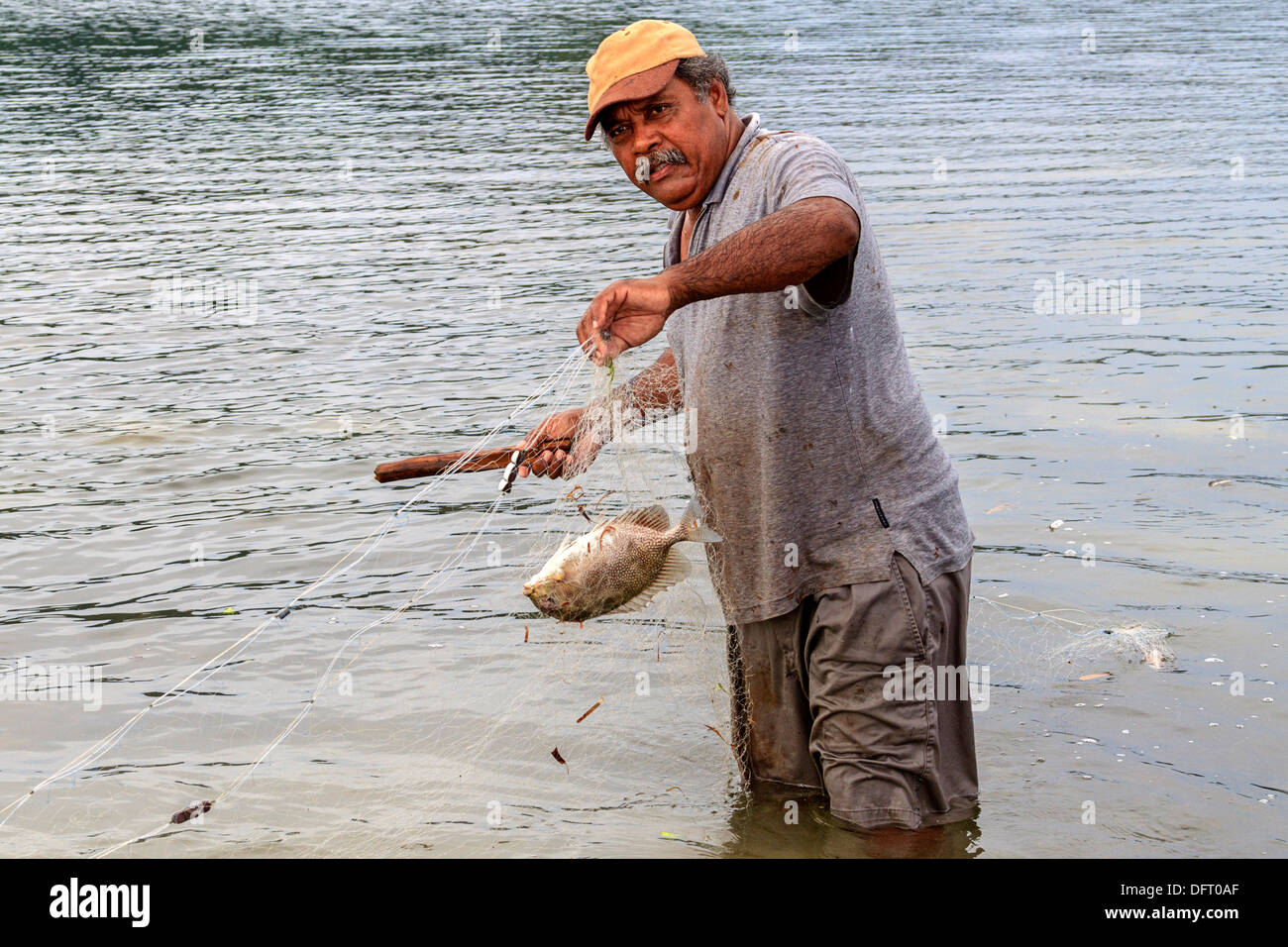 Lokaler Mann betäubt frisch gefangenen Kaninchen gefangen Fischen net im seichten Wasser am Strand in Kosrae, Mikronesien Stockfoto