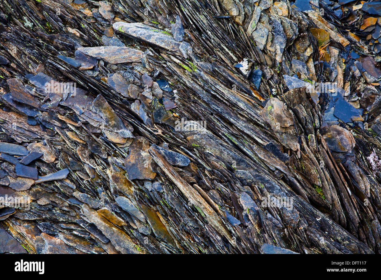 Abstrakte Schiefer Muster in den Bergen von b.c., Kanada Stockfoto