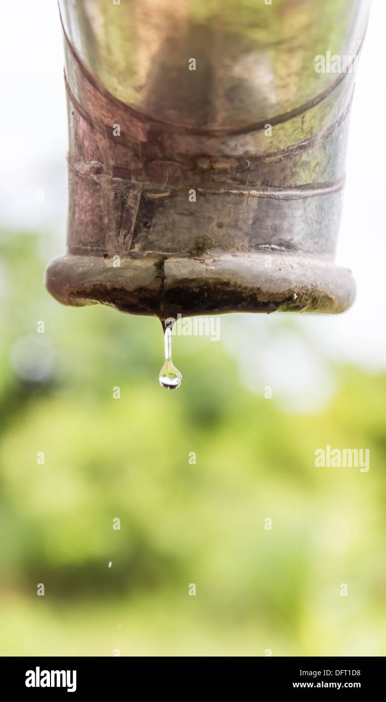 Wasser tropft aus einem Rohr. Stockfoto