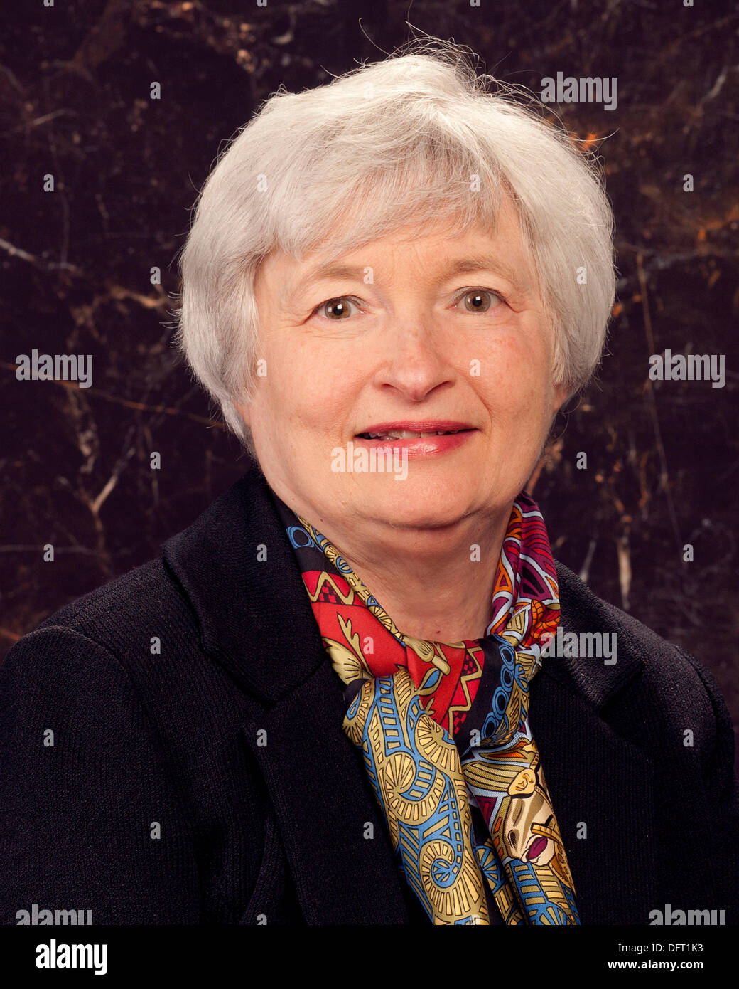 Offizielles Porträt von stellvertretender Vorsitzender des Board of Governors der der US Federal Reserve System Janet Yellen 5. Oktober 2010 in Washington, DC. Das weiße Haus kündigte 8. Oktober 2013 Präsident Barack Obama ernennen Yellen, Vorsitzender Ben Bernacke die erste Frau, die Position zu halten zu ersetzen. Stockfoto