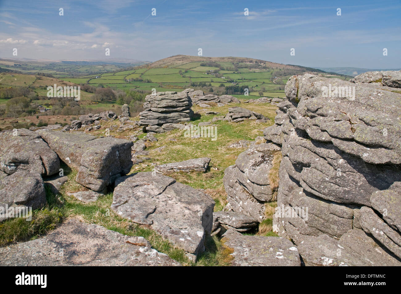 Auf Hayne Down, Dartmoor, Blickrichtung Nordwesten Easdon Down. Stockfoto