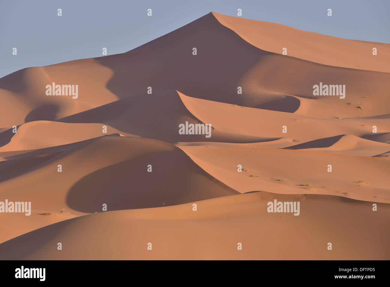 Dünen im Morgenlicht, große Sandmeer, Sahara, Merzouga, Region Meknès-Tafilalet, Marokko Stockfoto