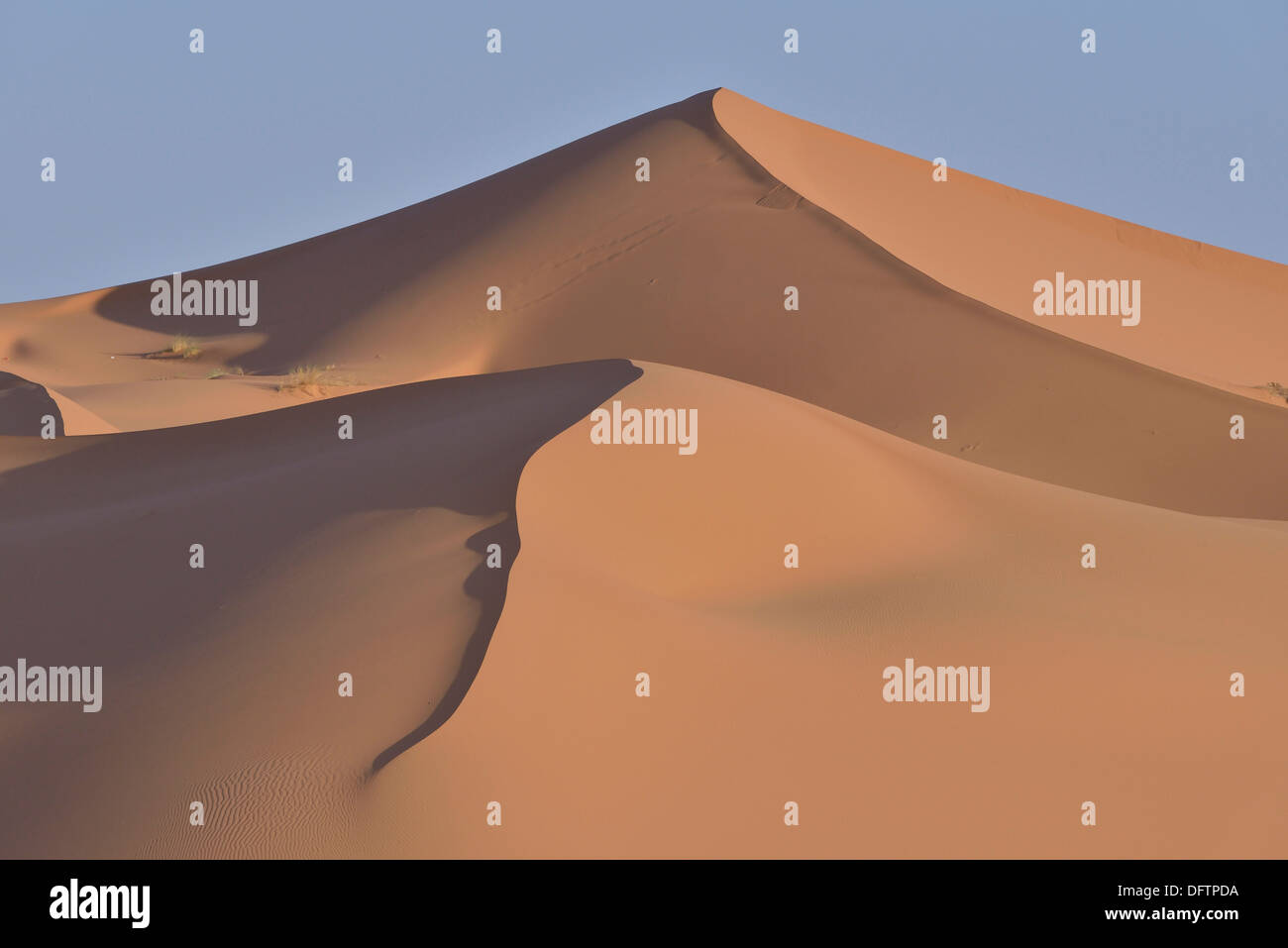 Dünen im Morgenlicht, große Sandmeer, Sahara, Region Meknès-Tafilalet, Marokko Stockfoto