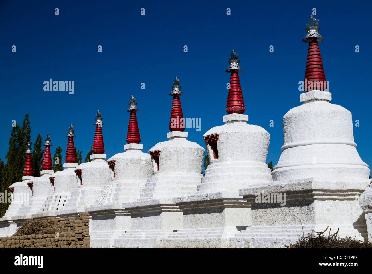 Acht Stupas hintereinander Thikse Gompa oder Thikse Kloster in der Nähe von Leh, Ladakh, Jammu und Kaschmir, Indien Stockfoto