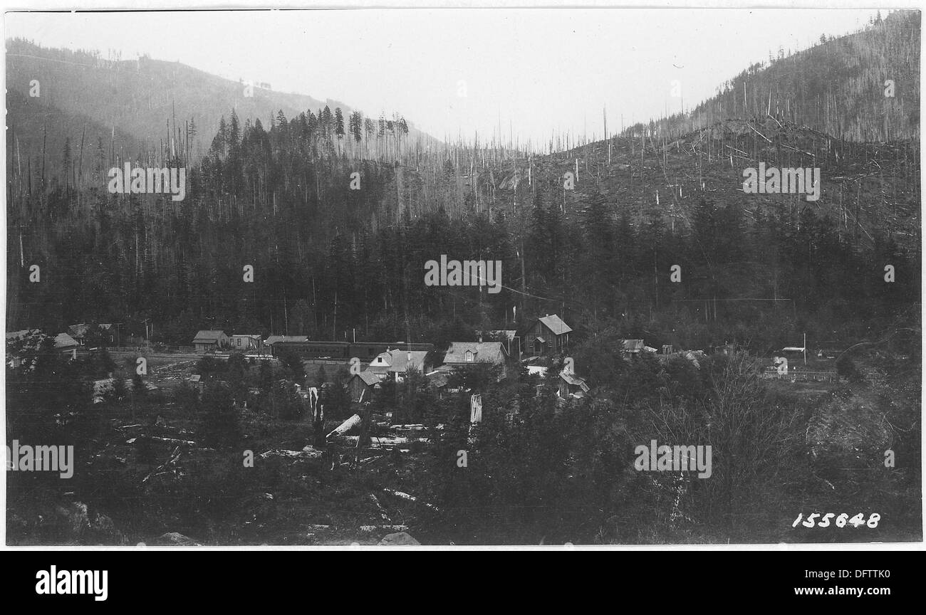 Die Stadt Detroit, Oregon, befindet sich im Santiam Forest und ist in diesem Bild eines eingeloggten Abschnitts dargestellt. Das Foto zeigt, wie das Gebiet zurückgewonnen wurde und Samen in den 1920er Jahren gepflanzt wurden, um das Graswachstum zu fördern Stockfoto