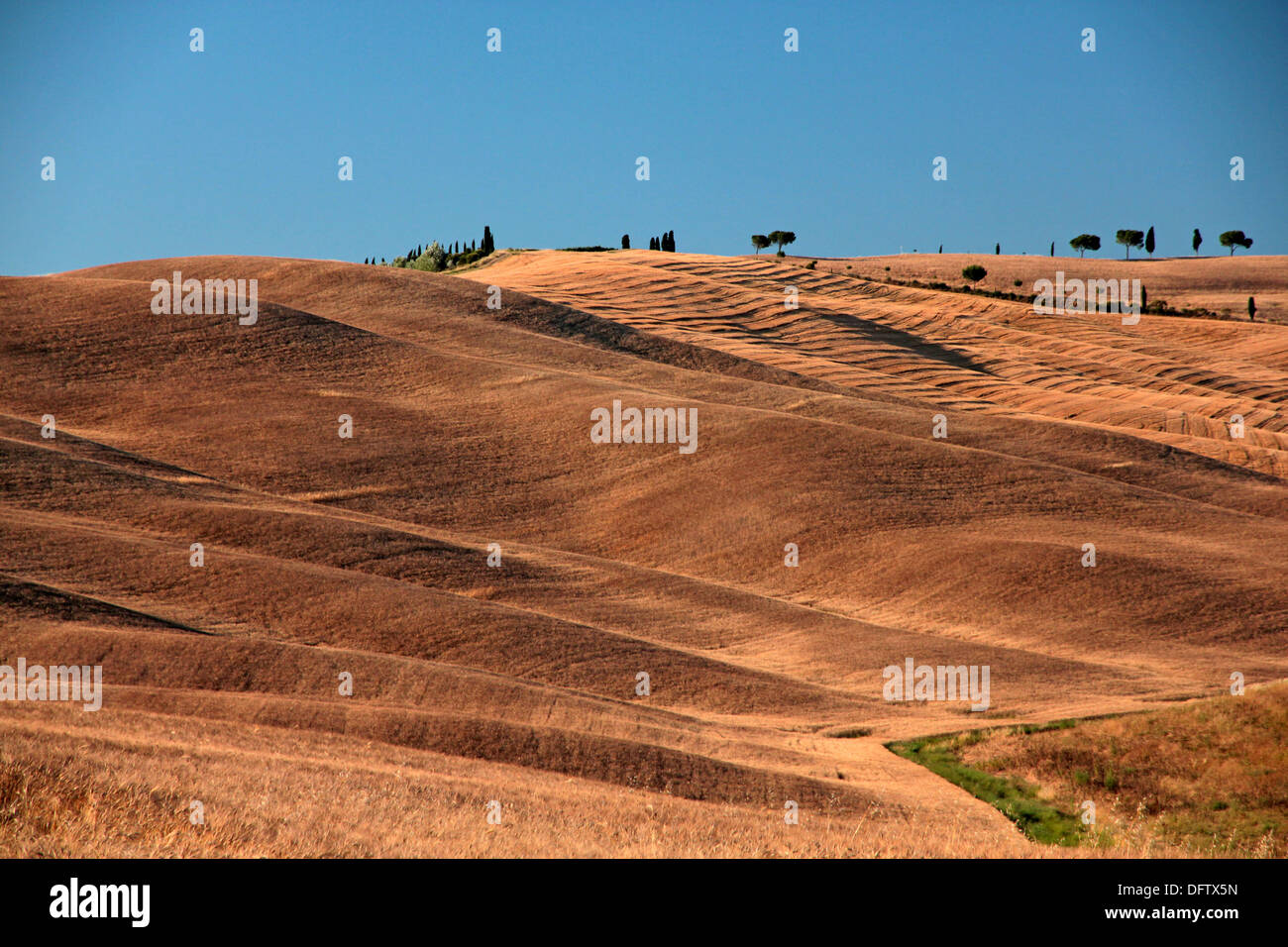 Tuscany d ' Orcia Feld gold gelben Stoppeln Stockfoto