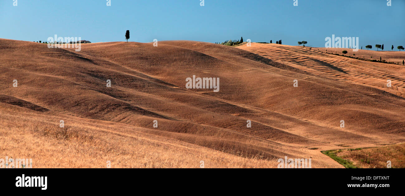 Tuscany d ' Orcia Feld gold gelben Stoppeln Stockfoto