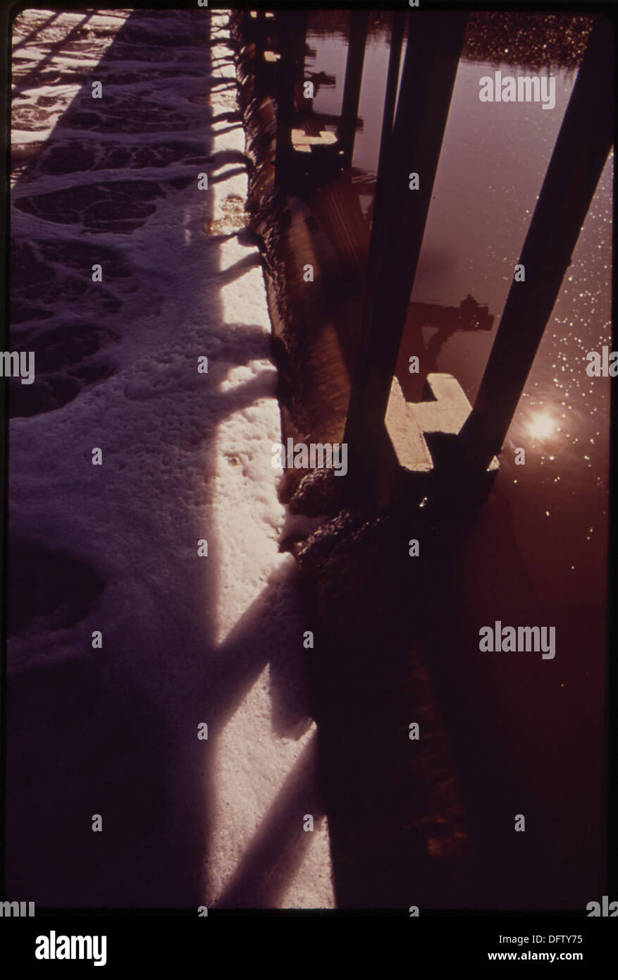 Dieses Bild zeigt Abschaum, der sich unter einem Dock am Lake Tahoe angesammelt hat und die Umweltverschmutzung in der Region veranschaulicht. Das Foto ist ein Beispiel für die ökologischen Herausforderungen, denen natürliche Gewässer gegenüberstehen. Stockfoto