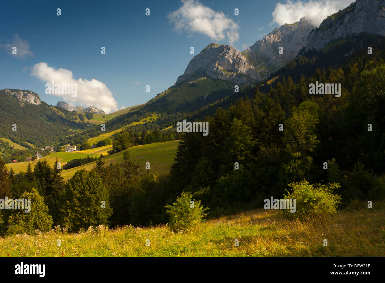 Alpenblick mit Berg Dorf von Montmin in der Ferne Stockfoto